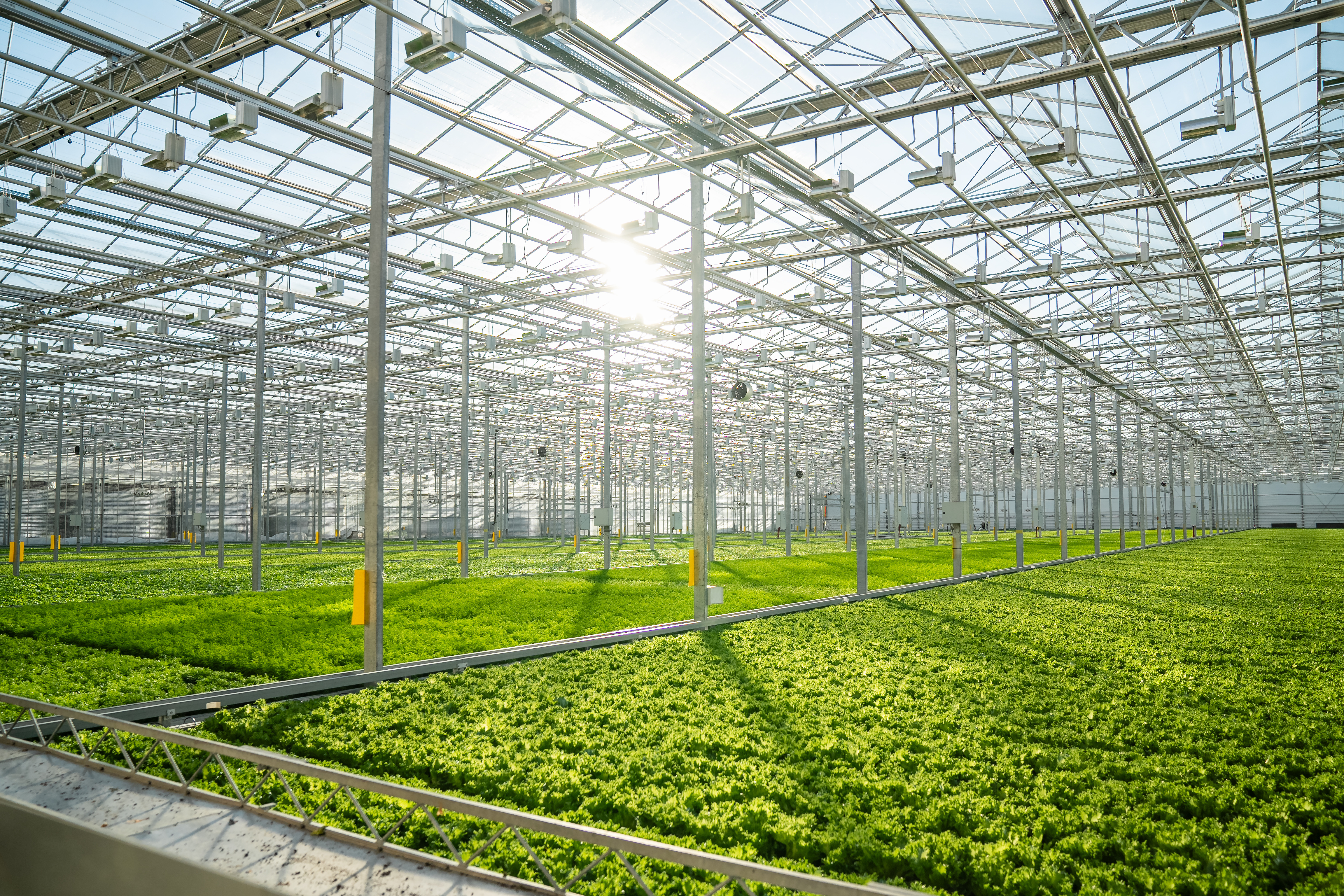 Indoor grow facility with AirPower Station providing climate control